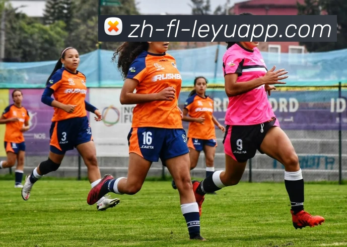 乐鱼体育全站App